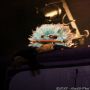 20120526_IMG_1686